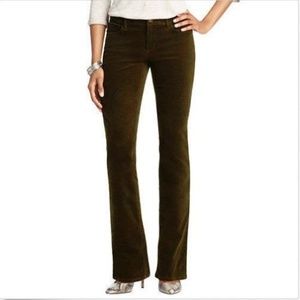SALE NWT LOFT Julie Trousers Corduroy (Long/ Tall)